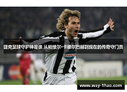 捷克足球守护神是谁 从帕维尔·卡德尔巴赫到现在的传奇守门员