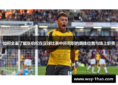 如何全面了解张伯伦在足球比赛中所司职的具体位置与场上职责