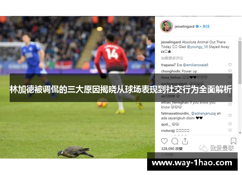 林加德被调侃的三大原因揭晓从球场表现到社交行为全面解析