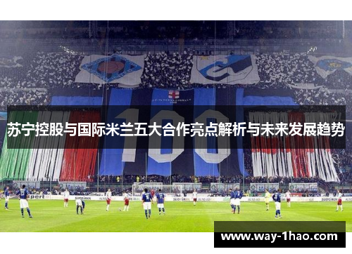 苏宁控股与国际米兰五大合作亮点解析与未来发展趋势