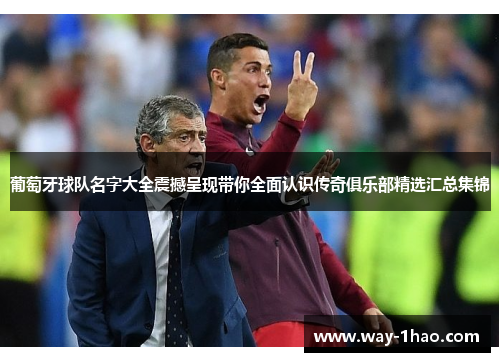 葡萄牙球队名字大全震撼呈现带你全面认识传奇俱乐部精选汇总集锦