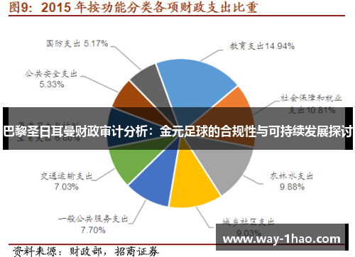 巴黎圣日耳曼财政审计分析：金元足球的合规性与可持续发展探讨