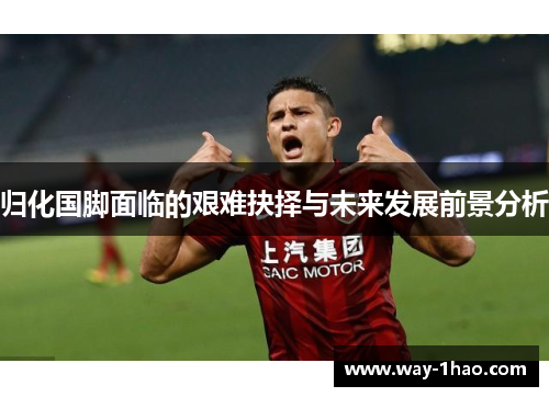 归化国脚面临的艰难抉择与未来发展前景分析