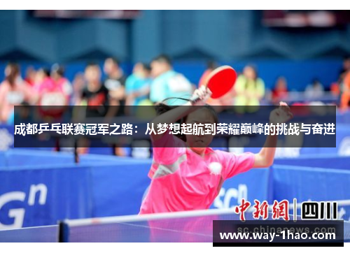 成都乒乓联赛冠军之路：从梦想起航到荣耀巅峰的挑战与奋进