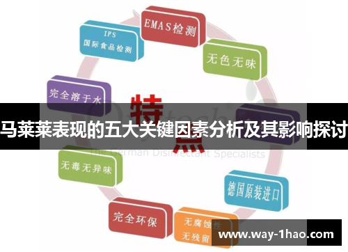 马莱莱表现的五大关键因素分析及其影响探讨